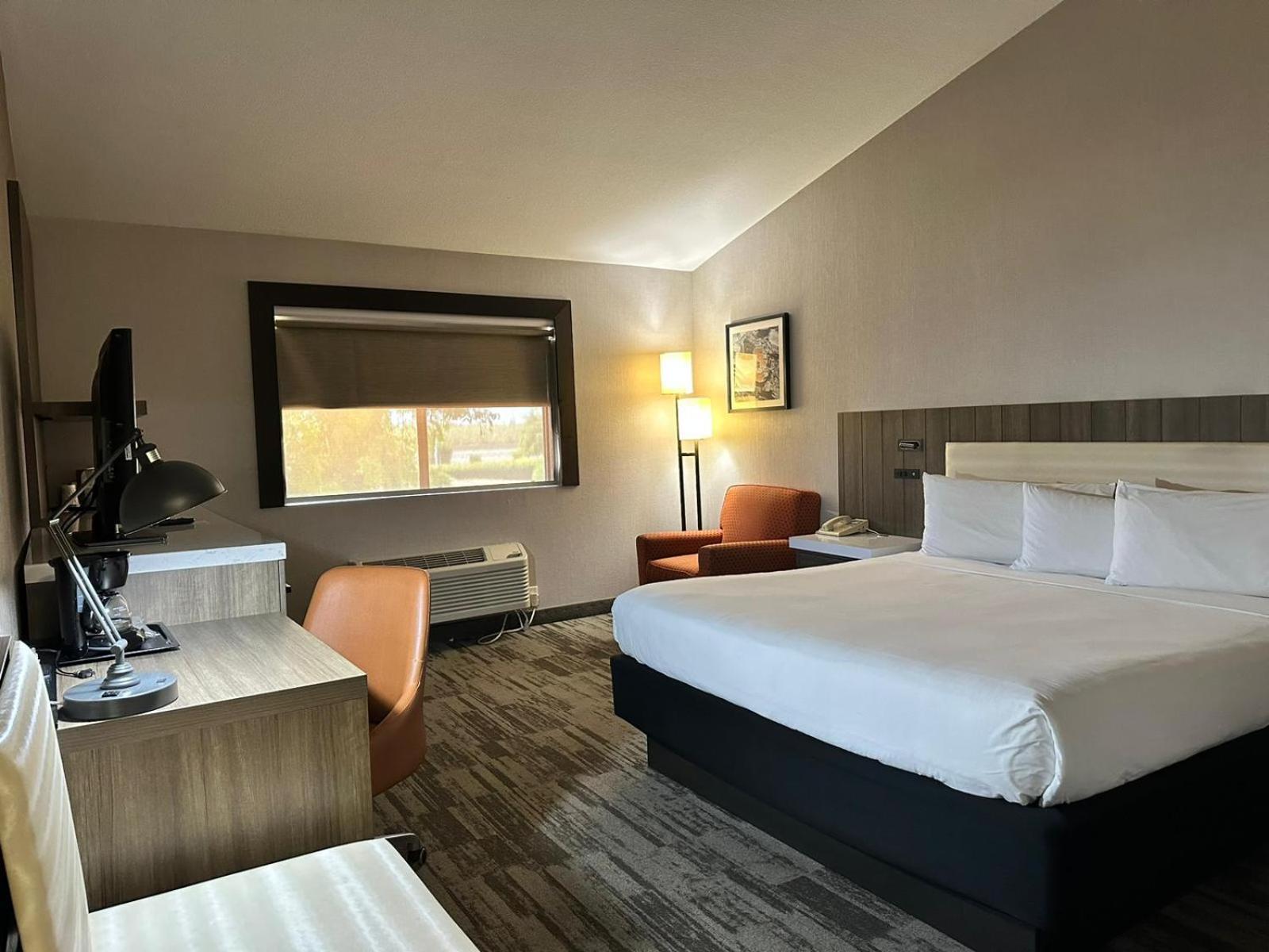 La Casa Modesto, Ascend Hotel Collection מראה חיצוני תמונה